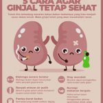 Cara merawat ginjal agar tetap sehat