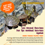 Kura-kura Bahagia: Panduan Perawatan Komprehensif